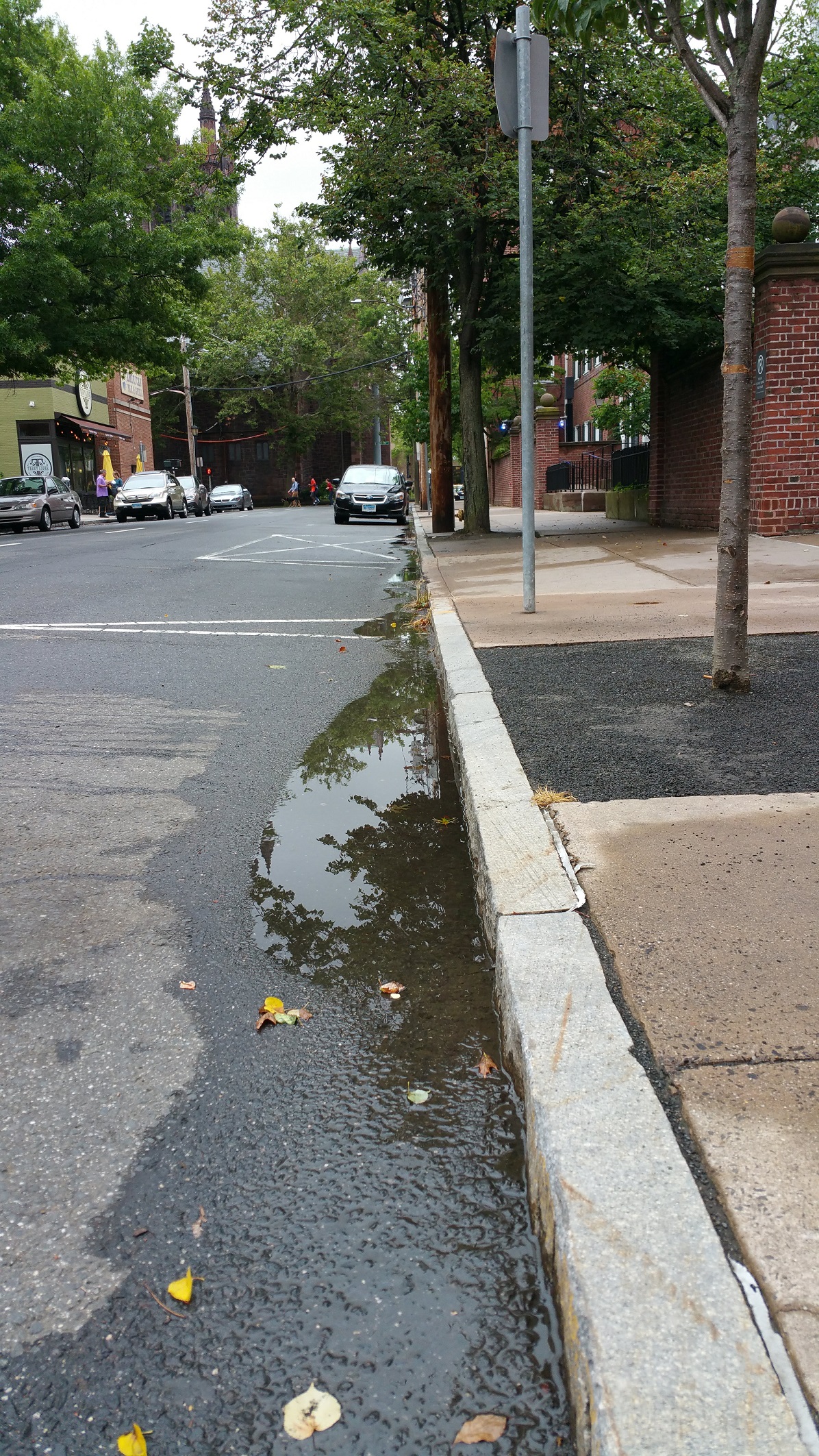 Gutter Puddle