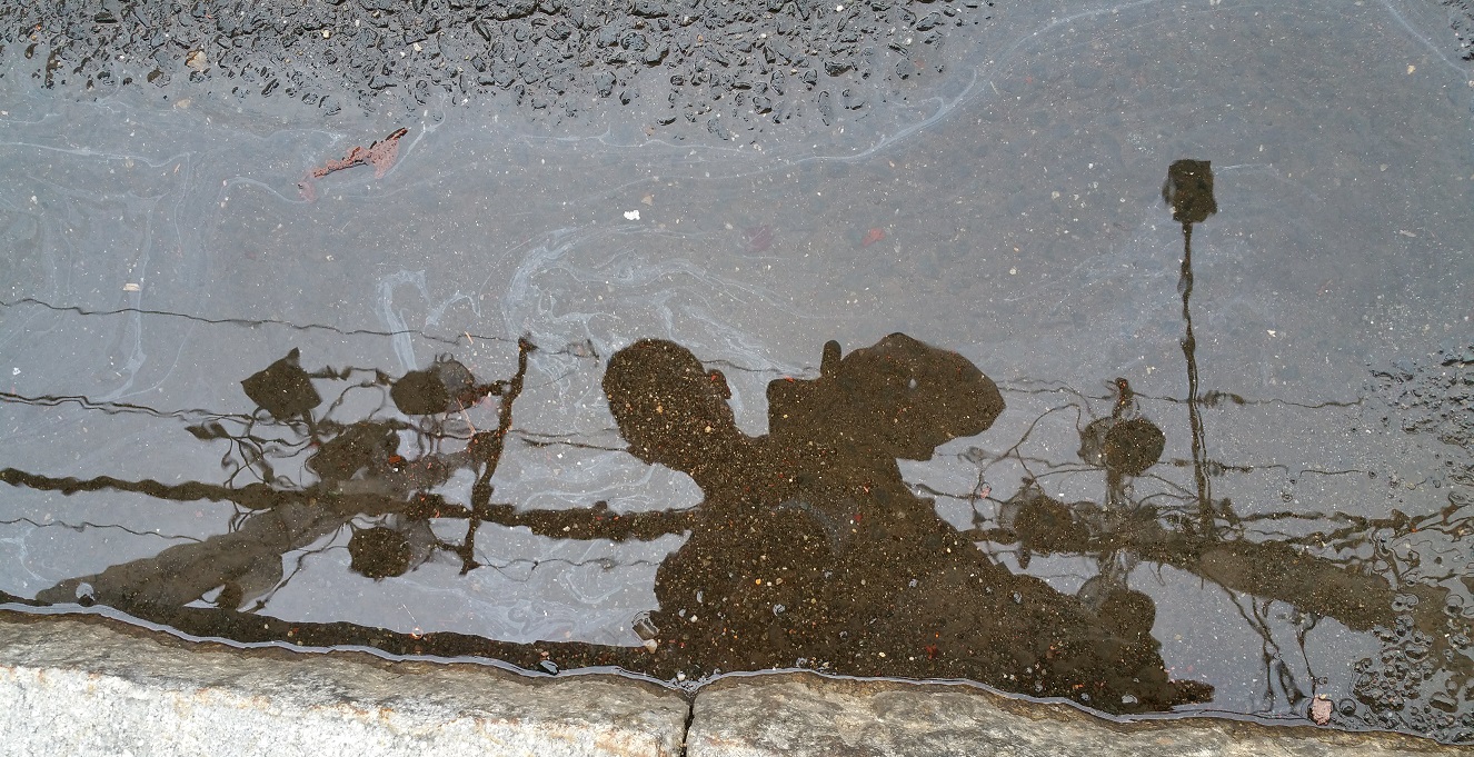 Oil Puddle